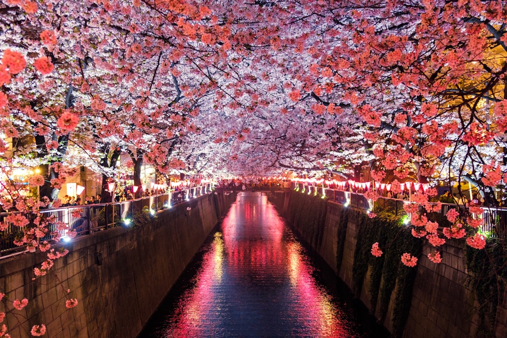 京都・嵐山周辺